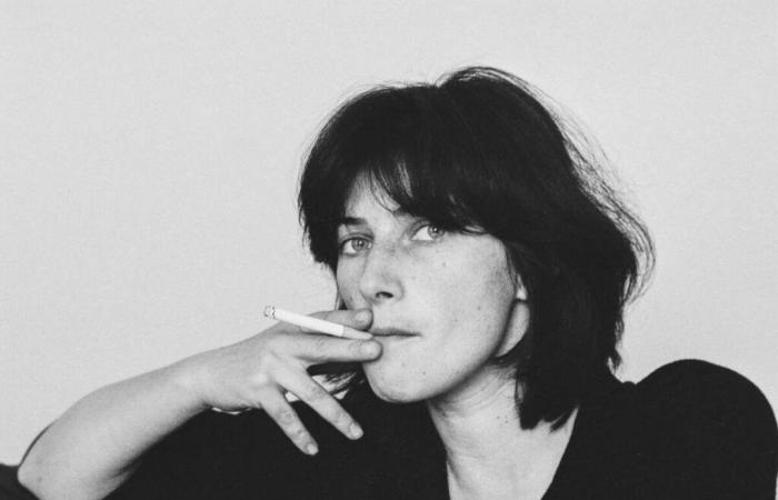 Chantal Akerman, unclassifiable filmmaker, icon in the making