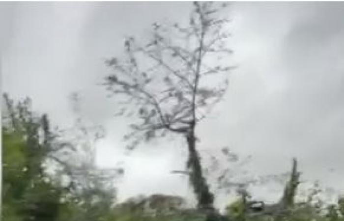 impressive damage in Beauvechain this morning (video)