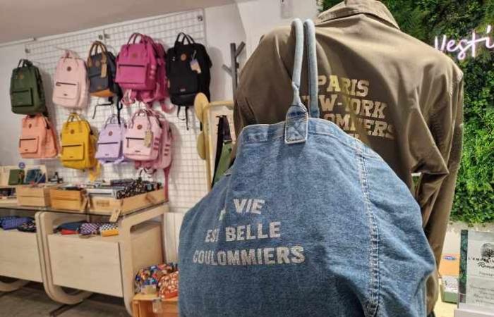 Seine-et-Marne: In Coulommiers, the Vestiaire des Copines is committed to the fight against breast cancer