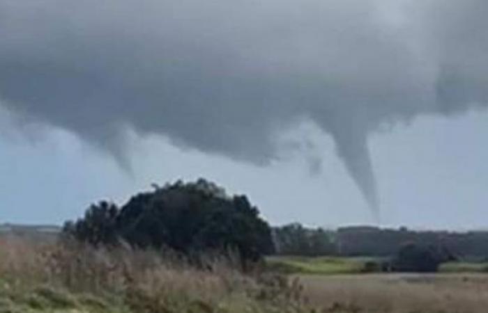 Roofs torn off, “objects that spin and fly”: a violent tornado causes significant damage in Beauvechain