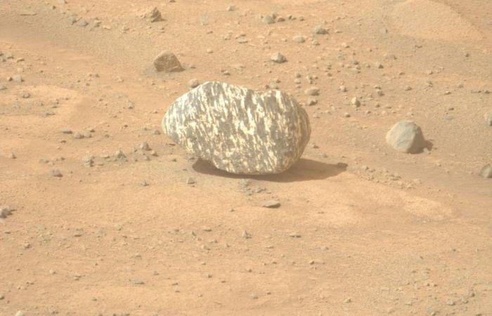 Perseverance discovers a mysterious zebra stone that fascinates astronomers