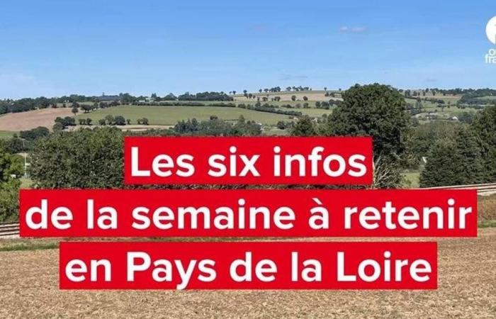 VIDEO. Six news stories of the week in Pays de la Loire