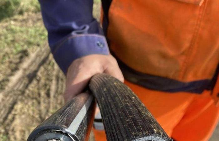 State-of-the-art cables to connect the Fief-Sauvin citizen wind farm, in Maine-et-Loire