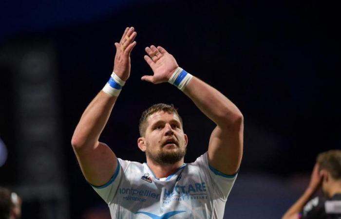 Paul Willemse back with Montpellier after six nightmarish months