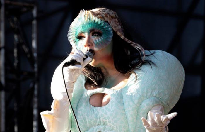 Bjork Teases ‘Cornucopia’ Film at Climate Week