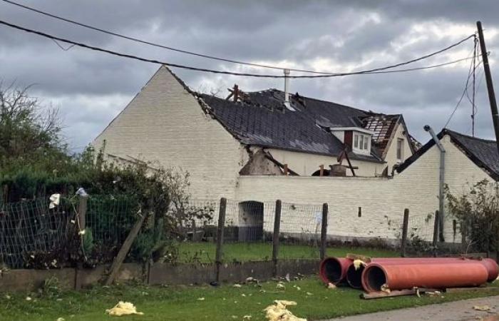 Roofs torn off, “objects that spin and fly”: a violent tornado causes significant damage in Beauvechain