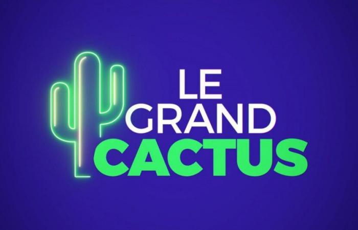 After its apologies, RTBF cancels a rebroadcast of “Grand cactus” scheduled for this Sunday…