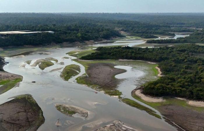 Colombia: the Amazon River bed reduced by 90% due to drought