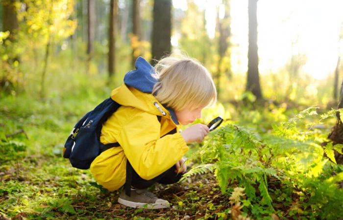 This town in Val-d’Oise celebrates nature in all its forms