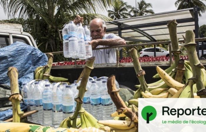 The water crisis in Guadeloupe is transforming everyday life into hell