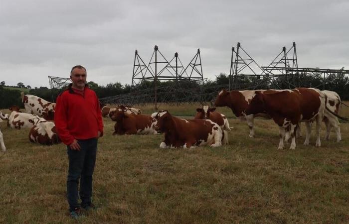 “It’s becoming hellish”: this dairy farmer in Calvados resigned to the choices of