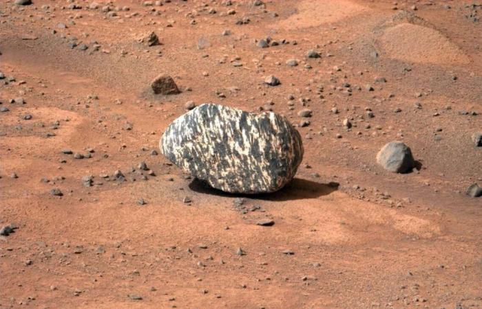 NASA has discovered a surprising and unique rock on Mars thanks to the Perseverance rover! What is it about?