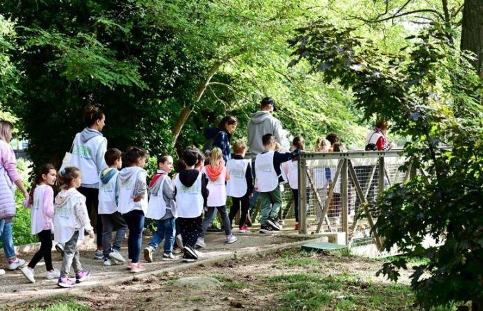 In Carcassonne, 2,500 cleaning kits distributed by Leclerc to clean nature throughout the weekend