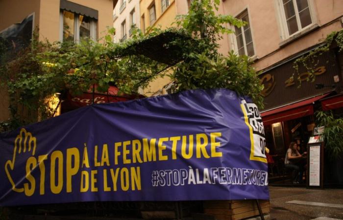 a demonstration in front of the Métropole de Lyon on Monday