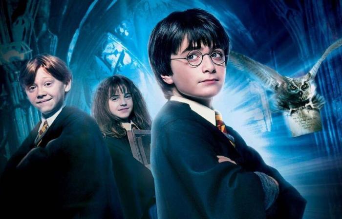 A Harry Potter marathon will bewitch Toulouse this weekend!