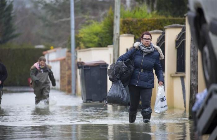 Seine-et-Marne placed on orange alert with the significant flooding of the Grand Morin river