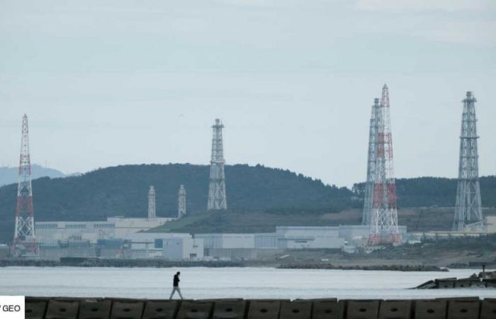 The Kashiwazaki Kariwa nuclear power plant, the largest in the world, has been shut down for more than ten years