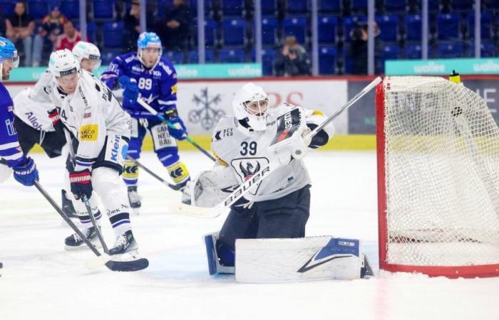 Ice hockey: The free fall continues for Fribourg-Gottéron