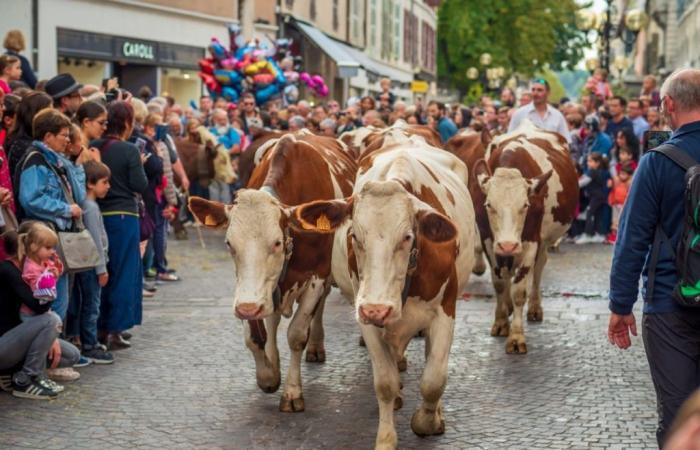 Major events and demonstrations in Annecy & Haute-Savoie