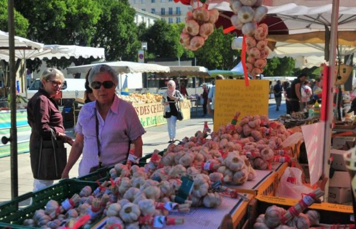 This popular fair is making its return to the Gard, with dozens of traders expected