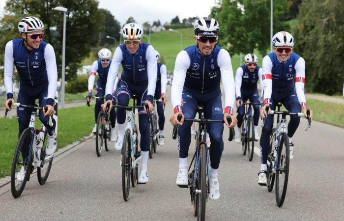 Julian Alaphilippe: “I love the course” – News