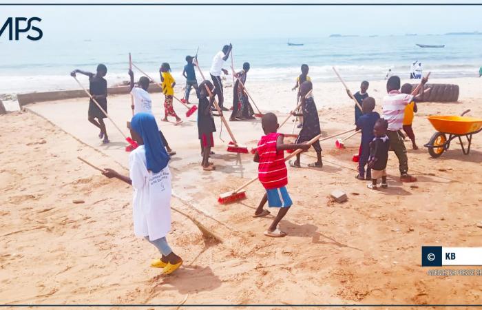 SENEGAL- SANITATION / Thiaroye-sur-mer: a private company and its partners initiate a beach cleaning day – Senegalese press agency