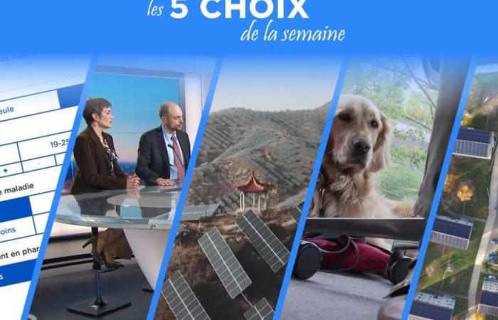 Maxi-solar power plants, “Médor” in the office and the green transformation of a district of Nyon – rts.ch