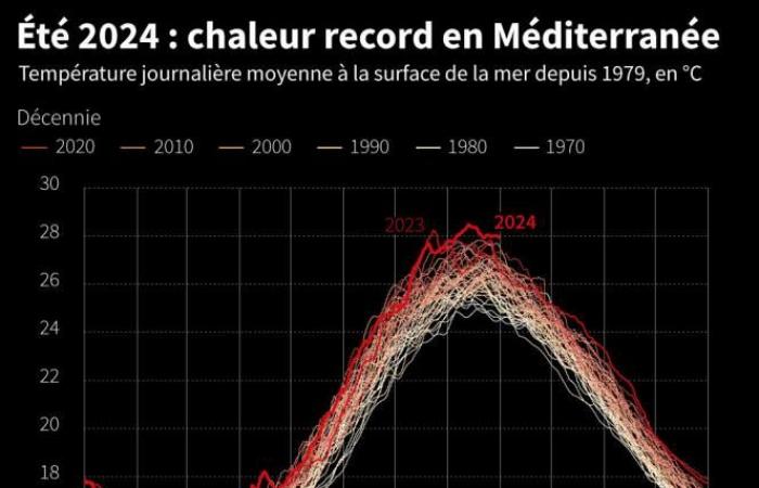 66 days of severe heat stress in Europe: the consequences are deadly