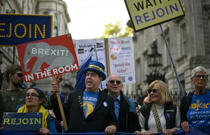 Hundreds of Britons march to demand Britain’s return to the EU