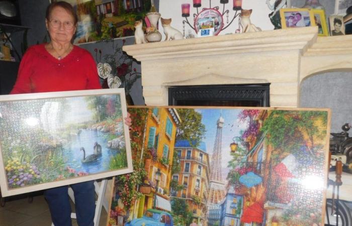 Near Châtellerault, this octogenarian has a devouring passion for puzzles