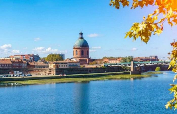 Haute-Garonne. Strong mobilization for World Cleanup Day