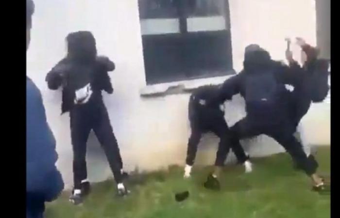 several students fight, one of them receives… “hits with a hammer”!