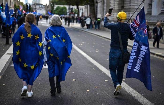 Pro-EU demonstration in London: “I want to regain my freedom of movement”