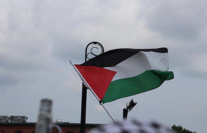 Five days of mobilization for Palestine in Quebec