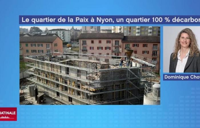 Maxi-solar power plants, “Médor” in the office and the green transformation of a district of Nyon – rts.ch