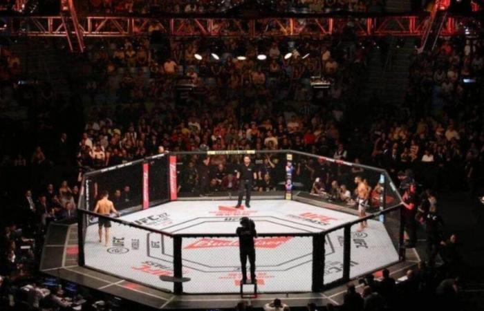 on which channel and at what time to watch MMA fights live?