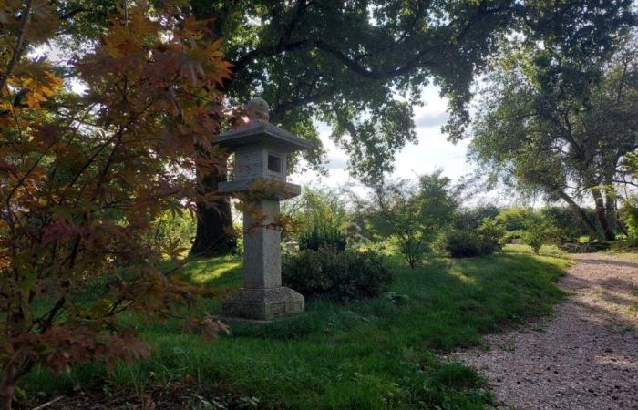 open the doors to an exceptional Japanese garden, developed in just 3 years