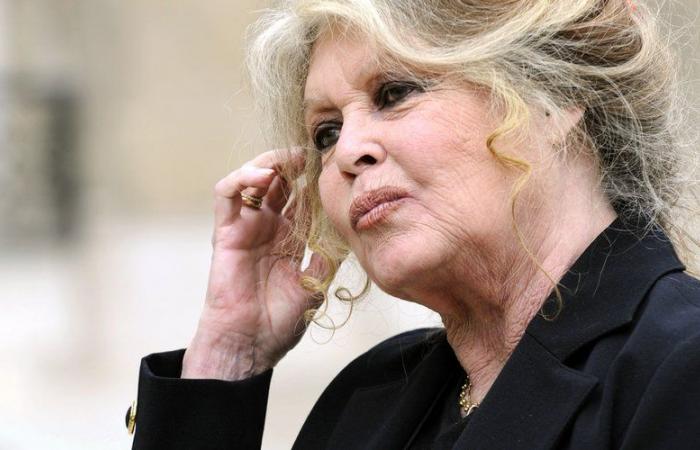 INTERVIEW. Brigitte Bardot celebrates her 90th birthday: “I would prefer to be 20!”