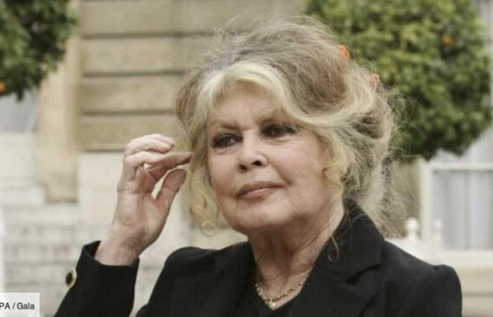 PHOTOS – Brigite Bardot: living room, swimming pool, garden… What does La Madrague, her villa in Saint-Tropez, look like?