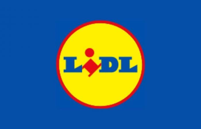 Lidl: these everyday essentials are at crazy prices for French Days (Silvercrest, Parkside, etc.)