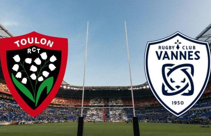 Vannes: on which channel and at what time to watch the TOP 14 match live?