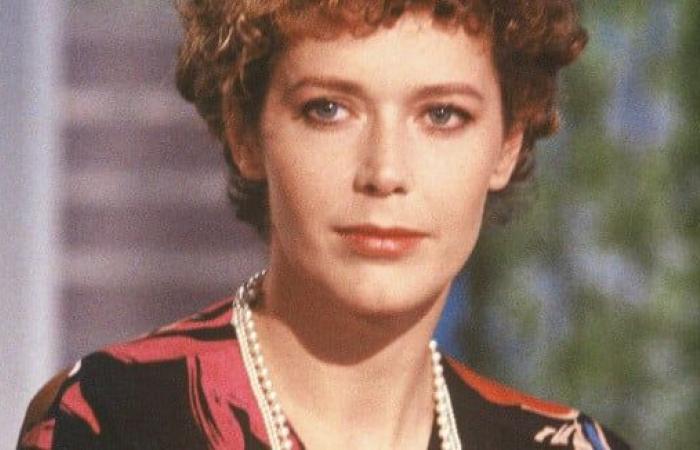 Emmanuelle, the actress of the cult film, Sylvia Kristel, was in a relationship with a recognized actor: a hellish relationship