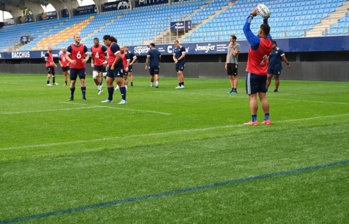 Perpignan: a new hybrid and very green “carpet” to support the ambitions of the Catalan rugby players of the USAP