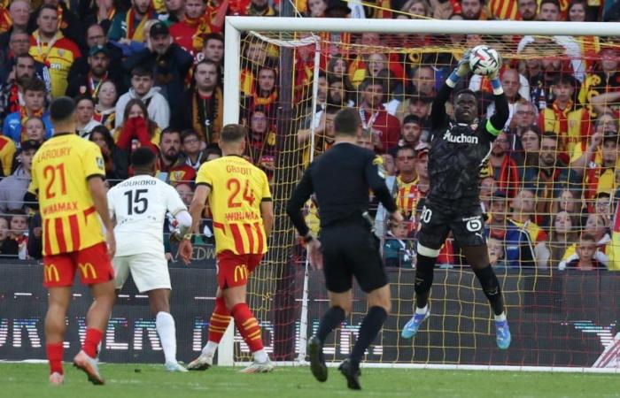 Lens – Nice: “We often come across good goalkeepers”, smiles Brice Samba, not to be outdone