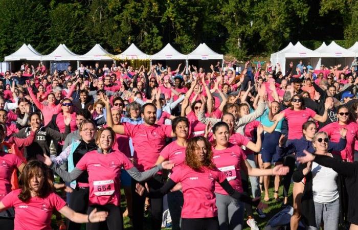 Toulouse. Pink October: Toulouse fights against cancer