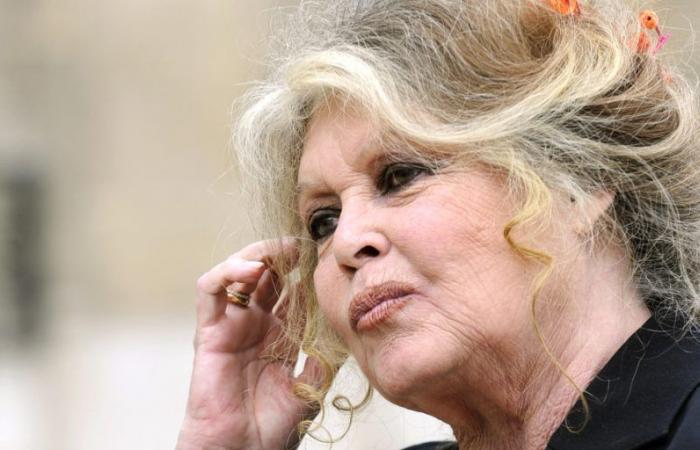 Saint-Tropez celebrates Brigitte Bardot’s 90th birthday, “very happy” with the tribute