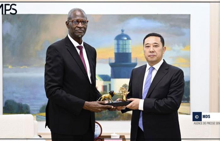 SENEGAL-CHINA-COLLECTIVITIES / Rufisque enters into a partnership with the city of Zhoushan (press release) – Senegalese press agency