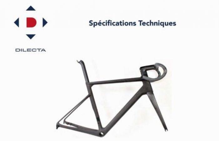 New Grammont, the first carbon in the Dilecta family