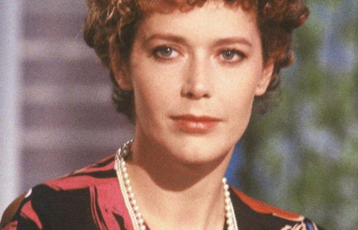 Emmanuelle, the actress of the cult film, Sylvia Kristel, was in a relationship with a recognized actor: a hellish relationship