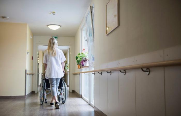 Financing of nursing homes: towards the establishment of a new day of solidarity?